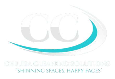 Chilisa Cleaning Solutions 